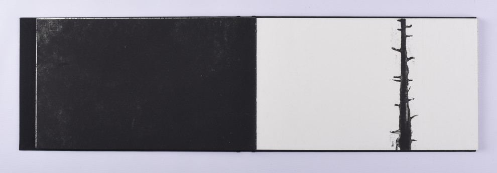 16. akwaforta, akwatinta, odprysk, 21,5 x 73